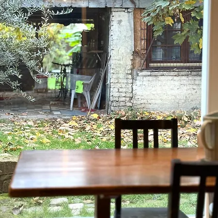 Daire Alsacien, Terrasse, Jardin, 80 M2 Strazburg