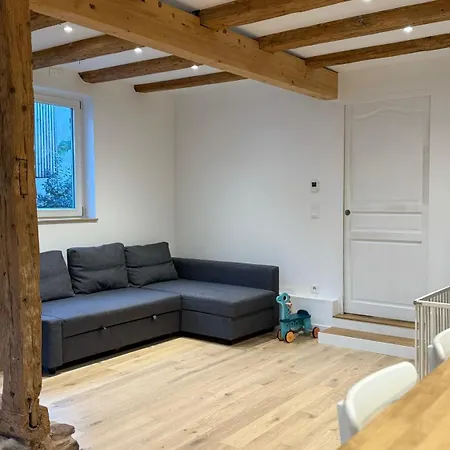 Alsacien, Terrasse, Jardin, 80 M2 Strazburg